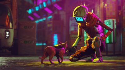 Stray