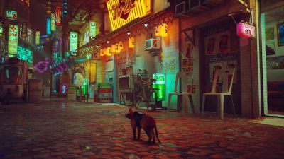 Stray